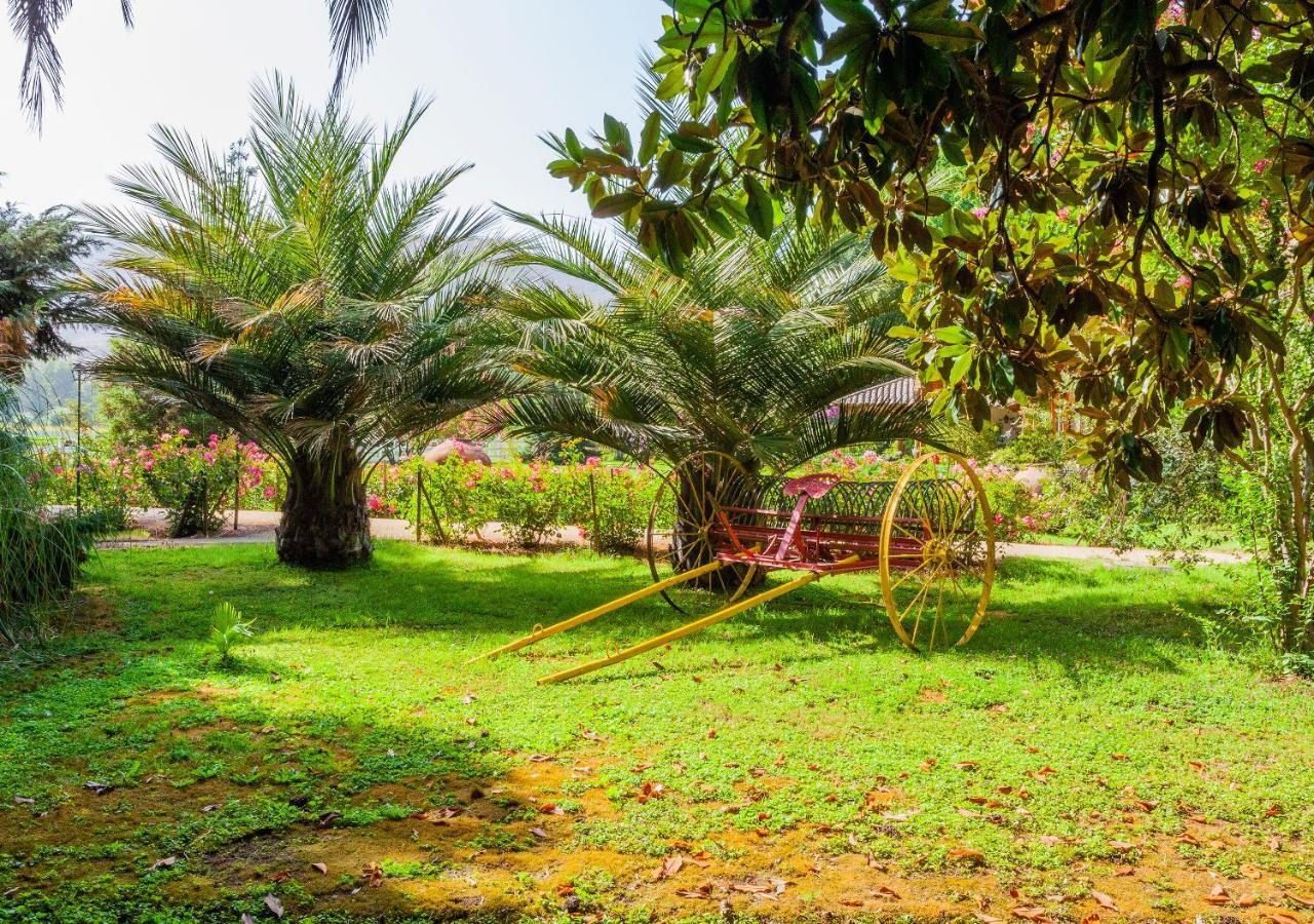 Hotel Boutique Almahue Pichidegua المظهر الخارجي الصورة